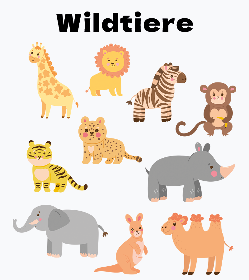 tezee - Kids Box 5er Set